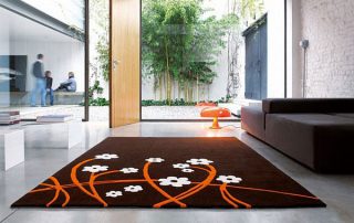 beautiful rug in beautiful home