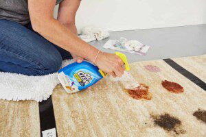 products for carpet stain 