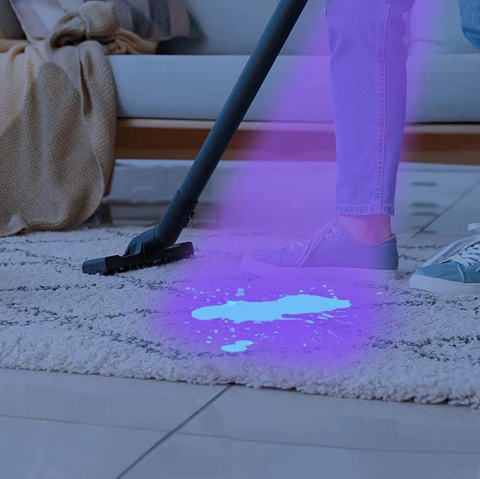 How Do You Clean Dog Pee Out of a Carpet? - Rug Cleaning