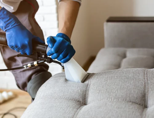 Top Tips for Couch Cleaning Made Easy