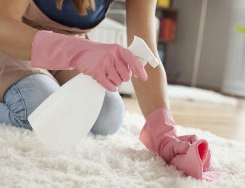 DIY Carpet Cleaning: Is it Worth the Effort, or Leave it to the Pros?