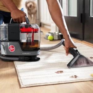 cleaning up after a mess